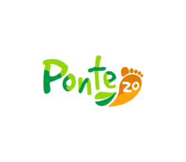 Ponte20